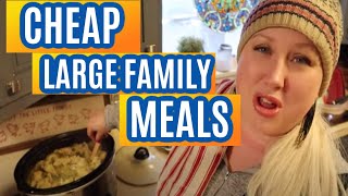 Cheap Meals for Large Families Recipes  | 4 Frugal Chicken Slow Cooker Dinners
