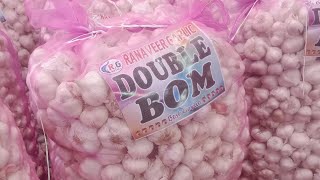 Ooty double bom garlic available#Ranaveer garlic-#garlic business#Today rate-55-100 bajar rate