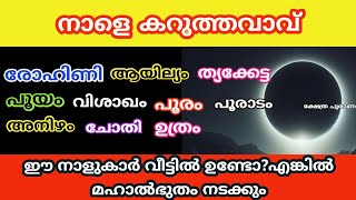 നാളെ അമാവാസി ഈ നാളുകാർ വീട്ടിൽ ഉണ്ടോ? ഈ കാര്യങ്ങൾ നടക്കും.. astrology Malayalam.