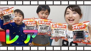 ユーチューバーチップス開封したらレアカード出たよ！パパ、まさかの神引き！【YouTuberチップス】