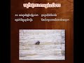 កំណាព្យបណ្តាំផ្សោតឯកាអន្លង់ឈើទាល