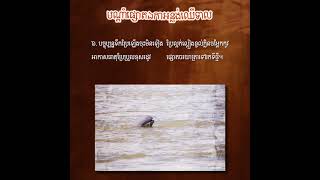 កំណាព្យបណ្តាំផ្សោតឯកាអន្លង់ឈើទាល