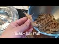 銀影 銀漸層英短貓 識食貓之選 九蝦 同場加映果皮蒸深水泥鯭