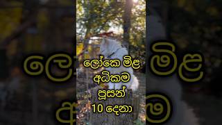 ලෝකෙ මිළ අධිකම පූසන් 10 දෙනා🐱 | Top 10 most expensive cat in the world #shorts #viral #trending #cat