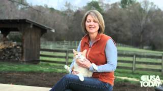 Petfinder.com founder Betsy Saul