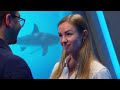 The BIGGEST Deal In Shark Tank's HISTORY!  Shark Tank AUS