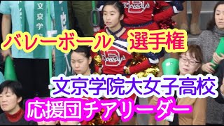 高校バレー選手権　東京　文京学院大女子高等学校　応援団チアリーダー