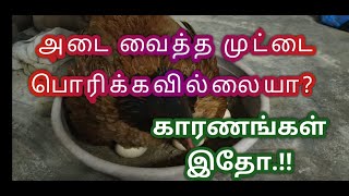 அடை வைத்த முட்டை பொறிக்கவில்லையா‍!! காரணம் என்ன?