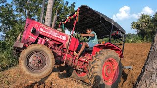 Mahindra 575 di tractor goes to 5 point cultivator performance in farmland @Mohantractorslife