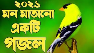 অসাধারণ একটি গজল Bangla New Gojol 2021