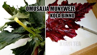 Omusajja wo Wafunayo Omukazi Omulala Kola Bino Omunyweze