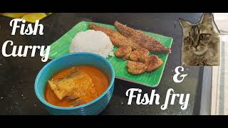 Malwani Fish Curry.... मालवणी माशाचे सार \u0026 Fry Fish.... तळलेले पापलेट आणि कोलंबी 🐟🦐