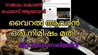 ഇങ്ങനെയൊക്കെ വൈറൽ ആവാമോ?|ANIAML STORY 1 #THELIFE #cat #Twitter #funny