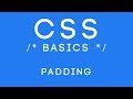 CSS Basics Tutorial 30 - Padding