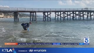 L.A. County beaches closed due to concerns over toxic fire debris