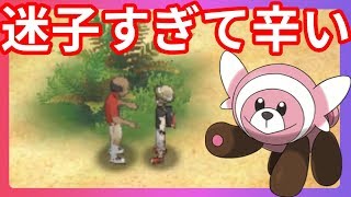 ヌイコグマごめんなさい！迷子暴走でかわいそうなことに・・・【ポケモンウルトラサンムーン】