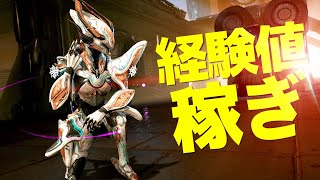 【Warframe】育成用経験値稼ぎのバンシービルドを紹介!!(5フォーマ)