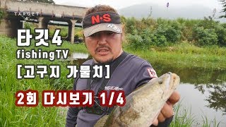 타깃 TARGET4 2회 다시보기 1부 clean version 고구지 가물치 snake head fishing