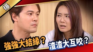 《八點檔搶先爆》愛的榮耀 EP264 強強大結緣？ 渣渣大互咬？