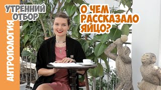 О чем рассказали страусиные яйца? Елена Сударикова