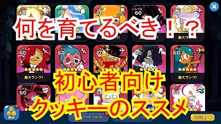 【クッキーランキングダム】このクッキーが強い！今日から始めるエピック育成【001】