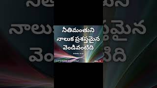 సామెతలు 10:20 నీతిమంతుని నాలుక ప్రశస్తమైన వెండివంటిది భక్తిహీనుల ఆలోచన పనికిమాలినది.