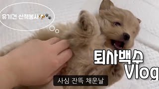 백수 브이로그 #4. 무기력을 극복하자 | 토익시험 | 유기견 산책봉사🐶 | 밀리의서재 독서 📚| 아침루틴 | 방청소 | 로제 새우 파스타 만들기🍝