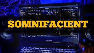 Ambient Semi-Generative Patch in Bitwig’s Grid