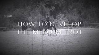 How to Develop the Medium Trot