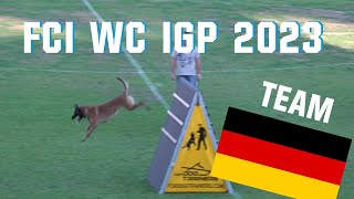 31. FCI WC IGP 2023 // Enzo vom Buxtehuder Bullen // Team Germany // working-dog