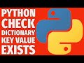 Python Tutorial: Find Key-Value Pairs in a Dictionary Using Input 2025