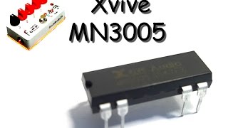 Xvive MN3005 BBD - Sound Comparion