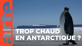 Panique en Antarctique | ARTE Décryptage