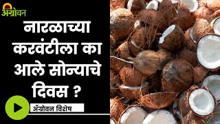 Coconut: नारळाच्या करवंटीचा वापर कशासाठी करता येतो ?  | ॲग्रोवन