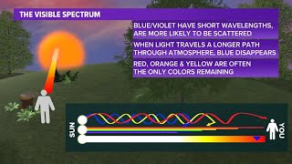 Why are sunrises and sunsets so colorful?