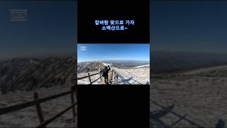 환상적인 아름다움과 고통을 동반한 소백산~ #mountains