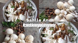 Rare Padke and Sahlle Chyau 🍄🥰|| Termite Mushroom 🍄|| Organic mushroom 🍄#nepal #simara #bhaktapur