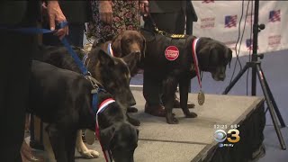 Love It: K9 Heroes Honored