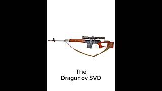 The Dragunov SVD