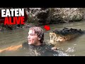 This Man Swam Across Crocodile Infested River and Got Eaten Alive!