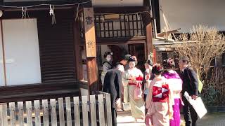 【八坂神社】節分祭が終わり先斗町に戻る舞妓（Maiko）さん 2019.2.2