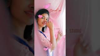 🎶🌹#dstudio#sattaimovie#DImman Adi raangi raangi song lyrics video