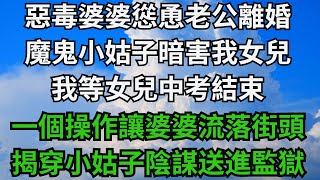 惡毒婆婆慫恿老公離婚，魔鬼小姑子暗害我女兒，我等女兒中考結束，一個操作讓婆婆流落街頭，揭穿小姑子陰謀送進監獄【無心情話】#落日溫情#情感故事#花開富貴#深夜淺讀#家庭矛盾#爽文