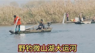 野钓微山湖大运河，万千毛鱼群里钓上几条大板鲫，钓的很吃力