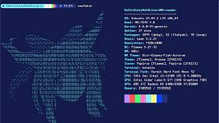 How to make the Terminal look professional | A Linux ricing tutorial