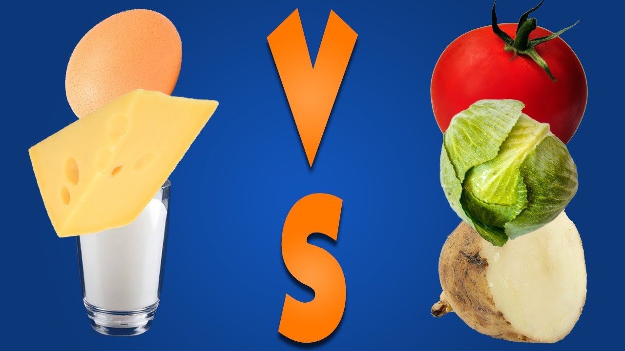 Vegan Vs Vegetarian - YouTube