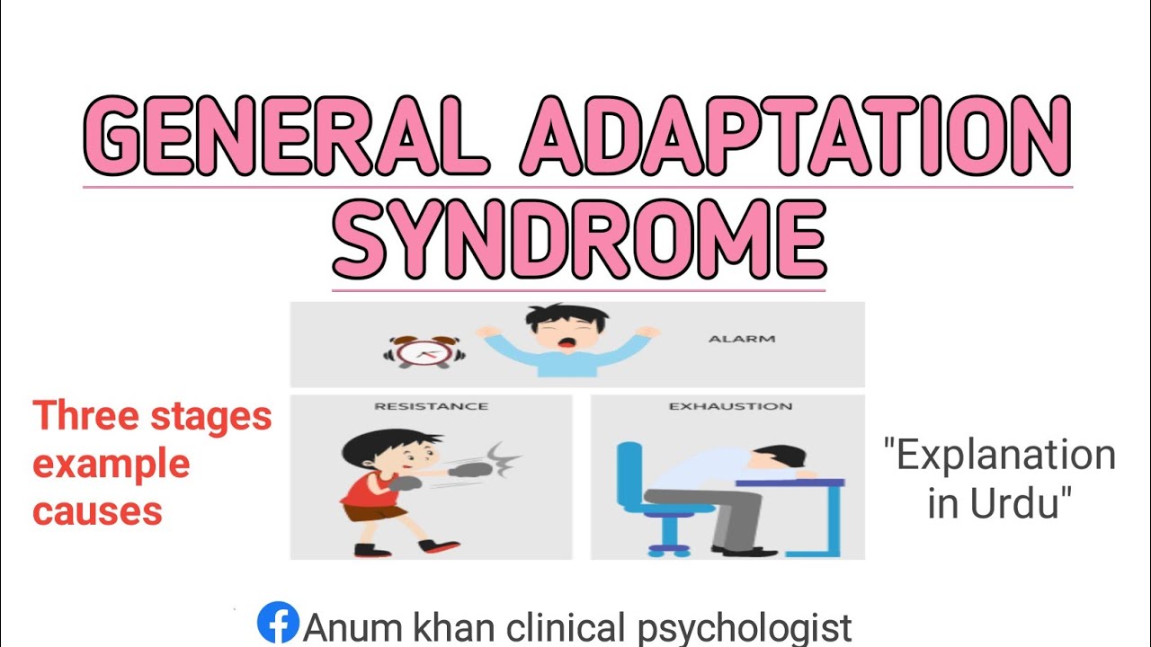 General Adaptation Syndrome Gas Stages And Triggers 47 Off