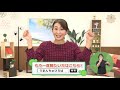 うまんちゅひろば平成31年2月2日、3日放送「伝えよう、沖縄の伝統的な食文化」