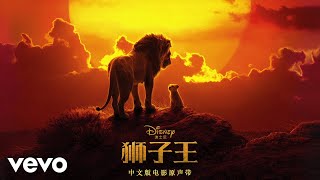 Shuang Ding, Lebo M. - Circle of Life/Nants' Ingonyama (From "The Lion King"/Audio Only)