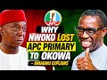 Why Nwoko lost APC primary to Okowa - Aniagwu